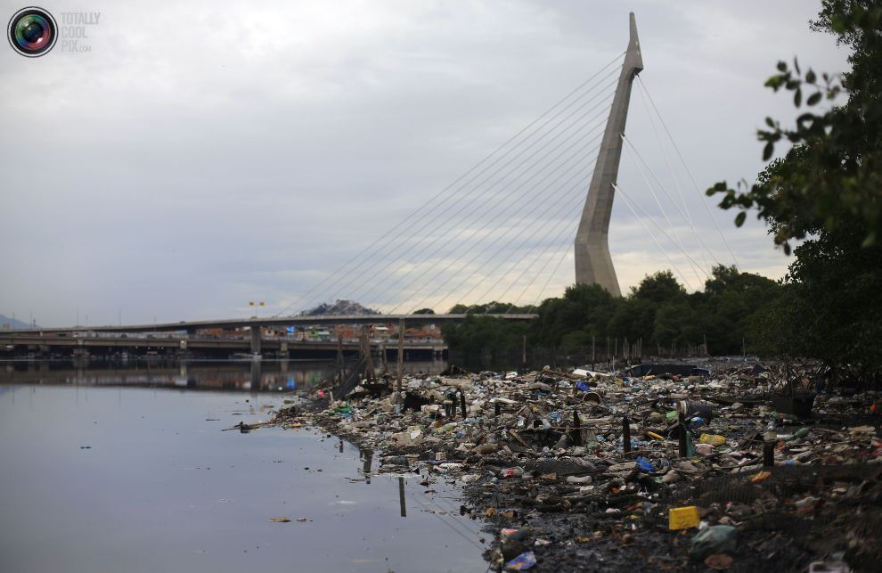 Экология в опасности: подготовка Рио-де-Жанейро к Олимпийским играм 2016 года