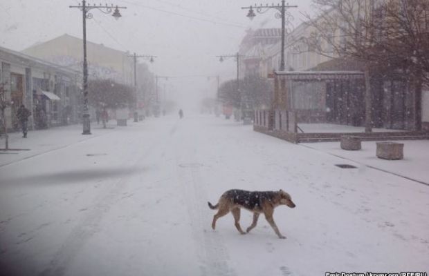 Снежная буря в Крыму оставила без света более 18 тысяч человек