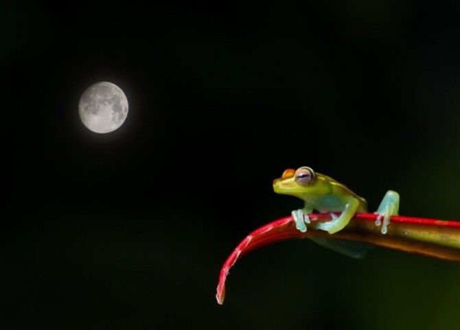 Гениальные фотографии от National Geographic