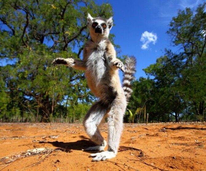Гениальные фотографии от National Geographic