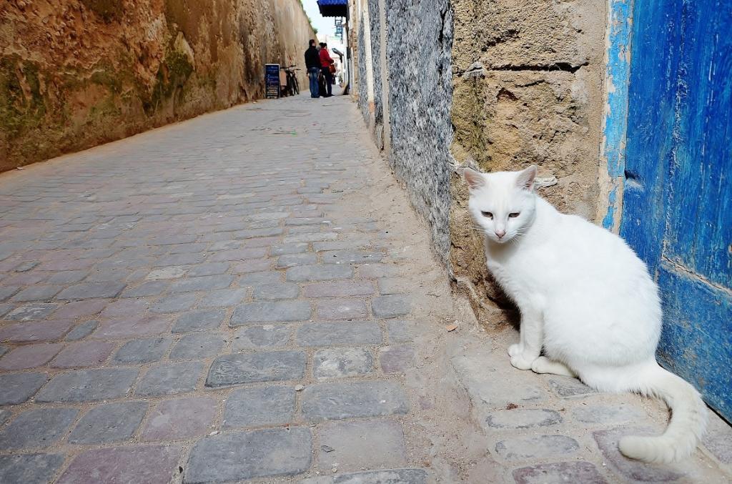 Жемчужина Марокко – город-крепость Эссуйера