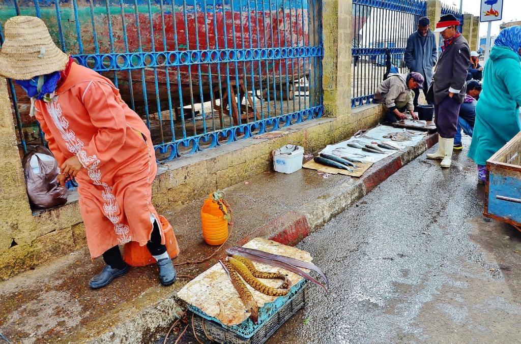 Жемчужина Марокко – город-крепость Эссуйера