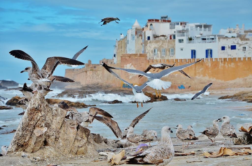Жемчужина Марокко – город-крепость Эссуйера