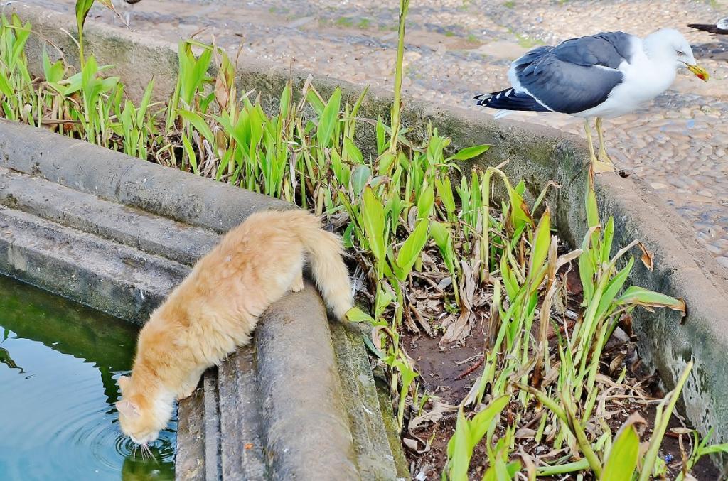 Жемчужина Марокко – город-крепость Эссуйера