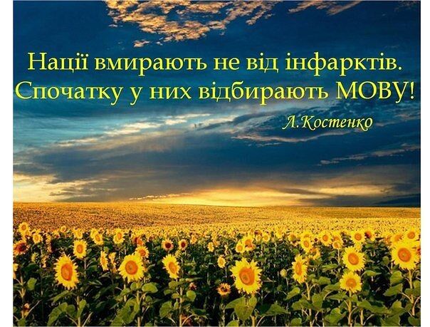 Пронзительные цитаты Лины Костенко о войне, Украине и смысле жизни , Украине и смысле жизни 