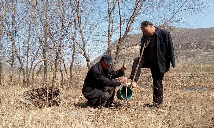 Слепой китаец и его безрукий друг посадили 10 000 деревьев