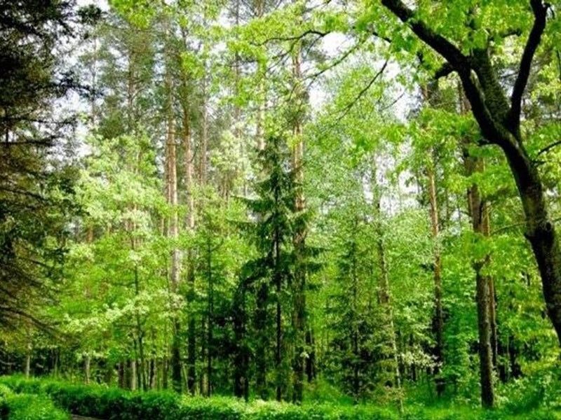 Куда поехать весной: топ-5 национальных парков Украины