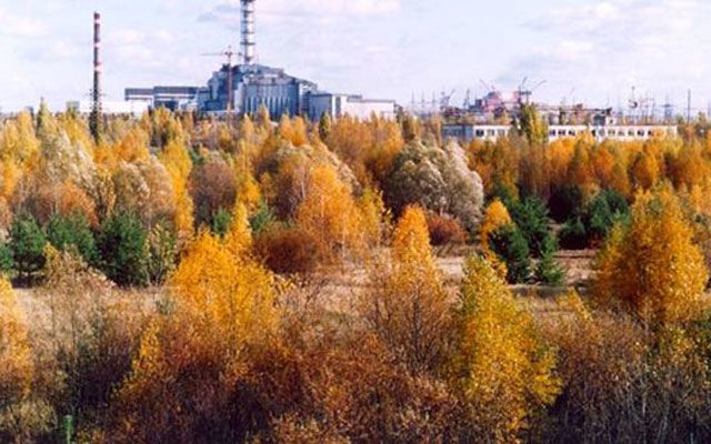 Потрясающие украинские леса, в которых стоит побывать весной
