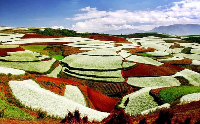 Рай для фотографов: невероятные краски далекой земли Дончуань