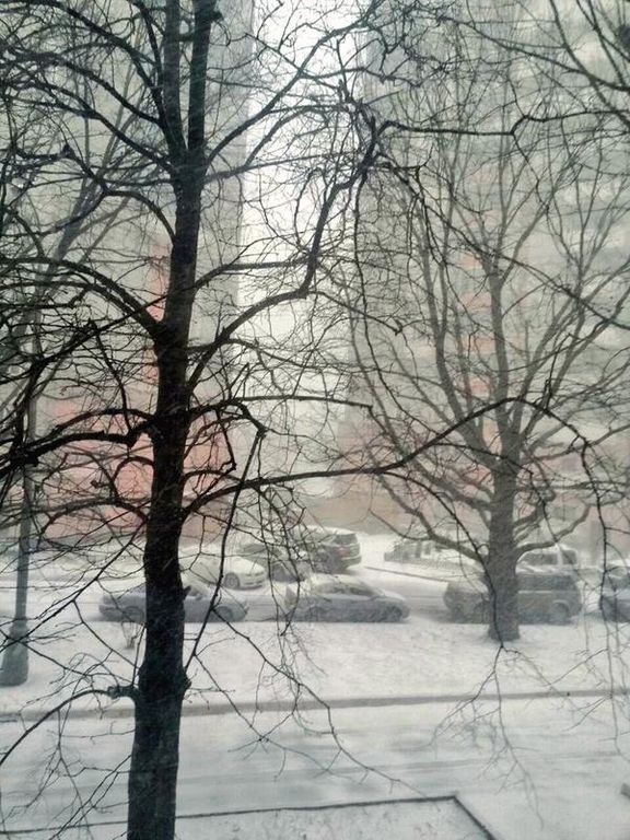 На Москву обрушился сильнейший снегопад