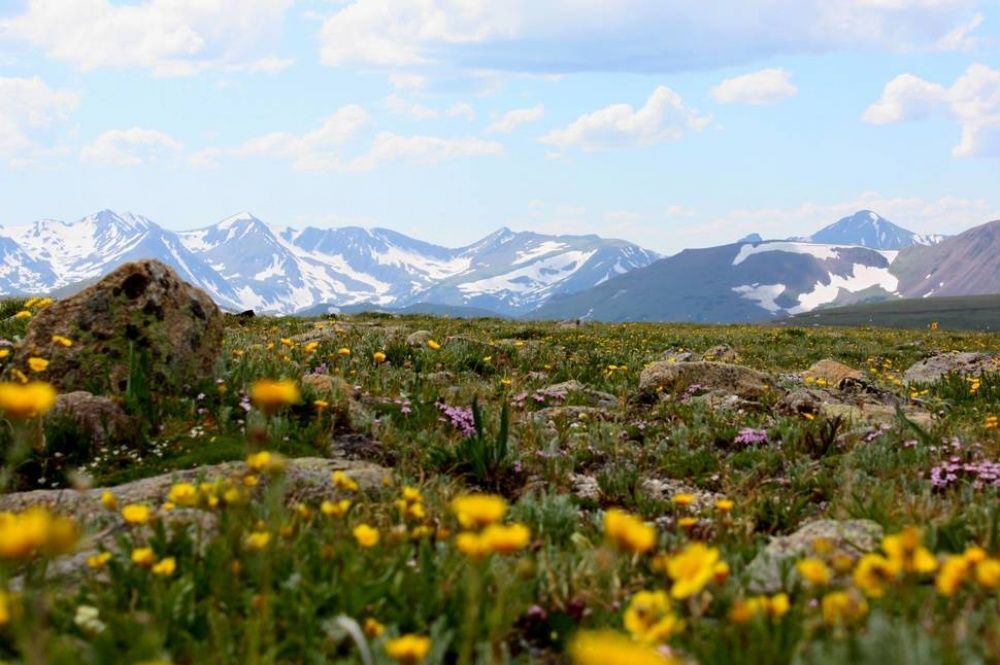 Живописные фото, которые приблизят наступление теплой весны