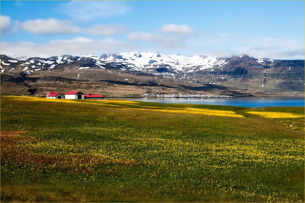 Живописные фото, которые приблизят наступление теплой весны