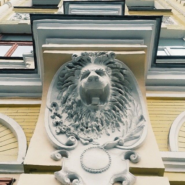 Киевлянка собрала фотоколлекцию киевских львов