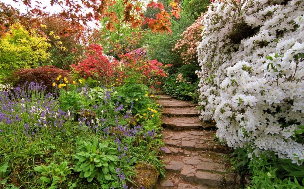 Живописные фото, которые приблизят наступление теплой весны