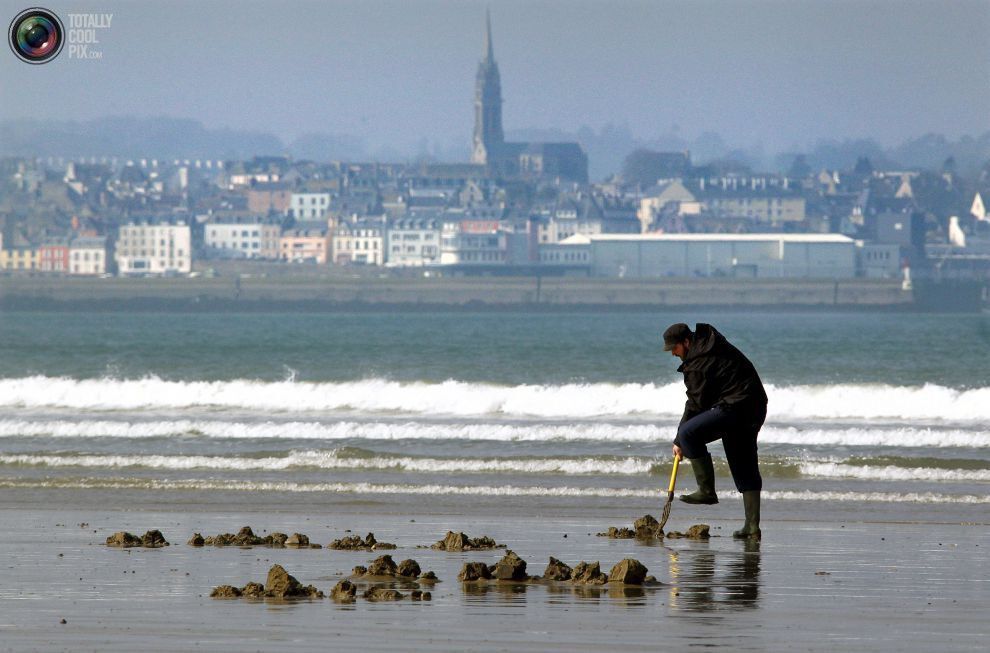 У берегов Франции произошел "прилив века": яркие фото стихии