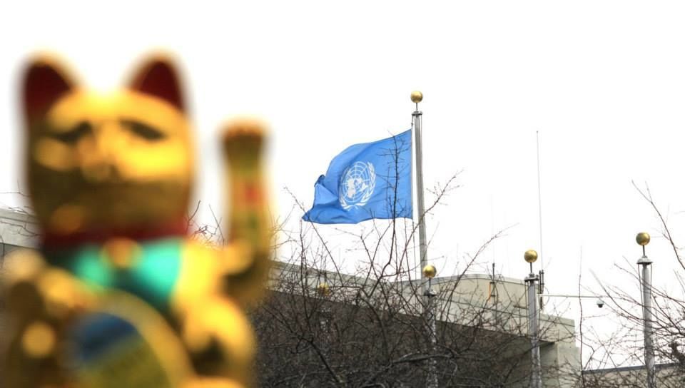 Под стенами ООН победы для Украины просили… золотые коты: фото и видео КОТармии