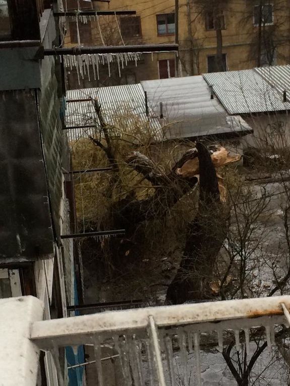 В Украине резко ухудшилась погода: выпал снег, обесточены 176 населенных пунктов