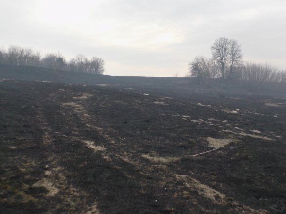 На Черниговщине выгорело почти все село: фото- и видеофакты