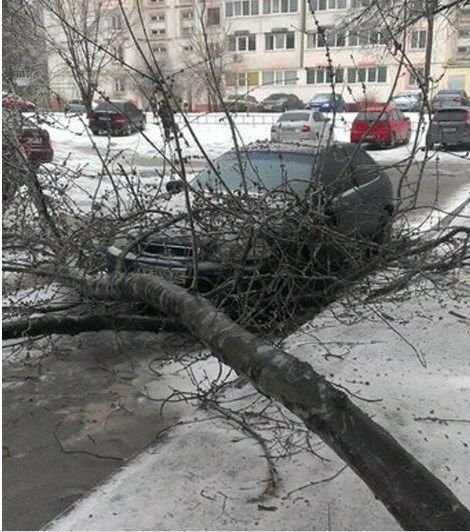 В Харькове ураган валил деревья и срывал крыши: опубликовано фото