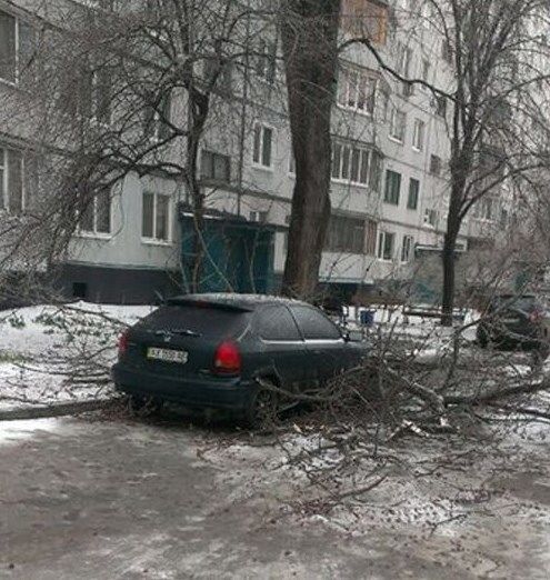 В Харькове ураган валил деревья и срывал крыши: опубликовано фото