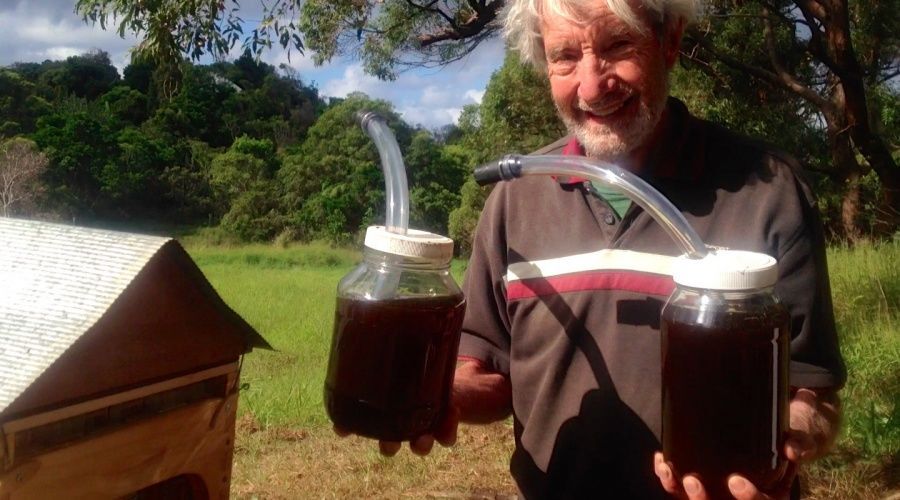 В Австралии изобрели "умный" улей, который сам качает мед