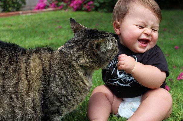 23 фото, доказывающие, что ребенку нужен кот