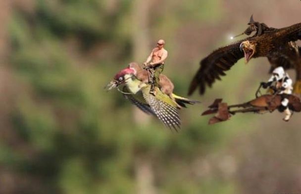 Верхи на ласці: мережа відреагувала фотожабами на дивовижний знімок