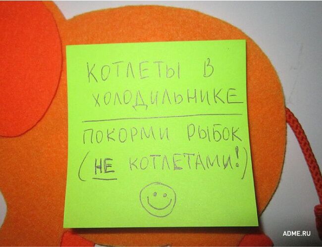 20 смешных записок на холодильнике от родных и близких