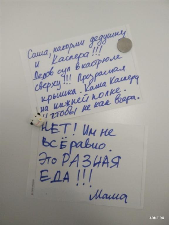 20 смешных записок на холодильнике от родных и близких