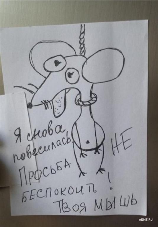 20 смешных записок на холодильнике от родных и близких