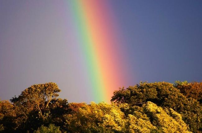 Смотри, радуга! Самые яркие и впечатляющие фотографии
