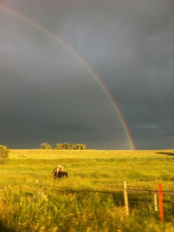 Смотри, радуга! Самые яркие и впечатляющие фотографии