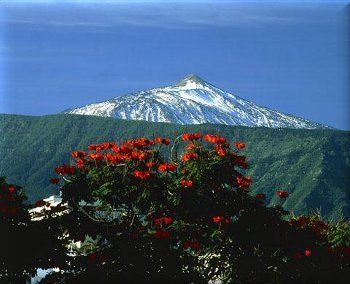 Остров вечной весны: лучшие фото Тенерифе