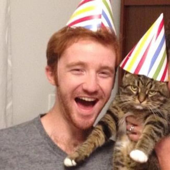 22 глупые кошки, попавшие в смешные и нелепые ситуации