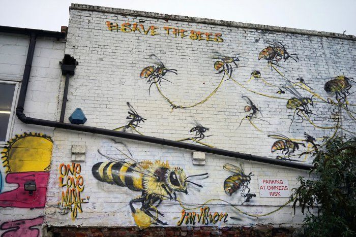 Улицы крупных городов заполонили гигантские пчелы: опубликовано фото