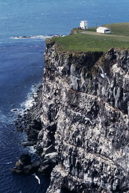 Волны и камни: 25 самых захватывающих скалистых побережий в мире