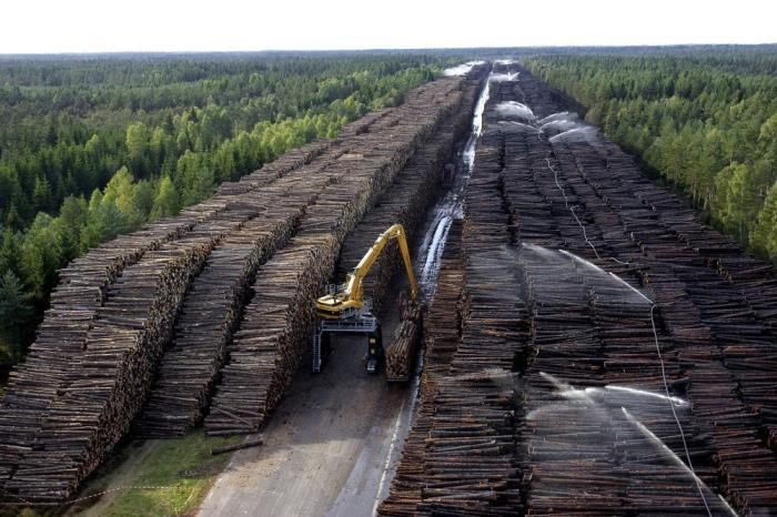 Опубліковано добірку фото найкрупніших технокладовищ в світі