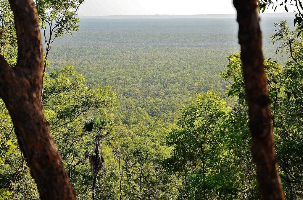 Особенности посещений природных парков Австралии