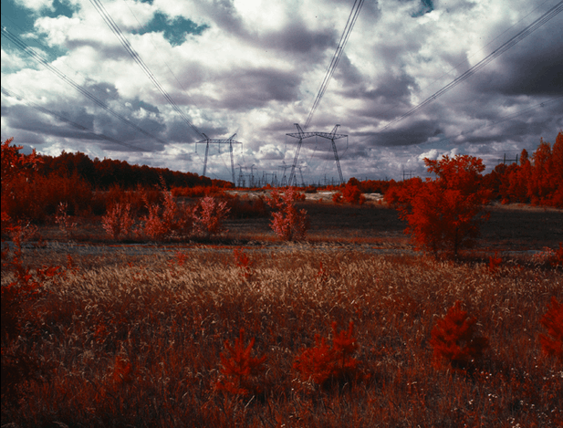 Британский фотограф показал "привидений" в лесу Чернобыля: фото работ