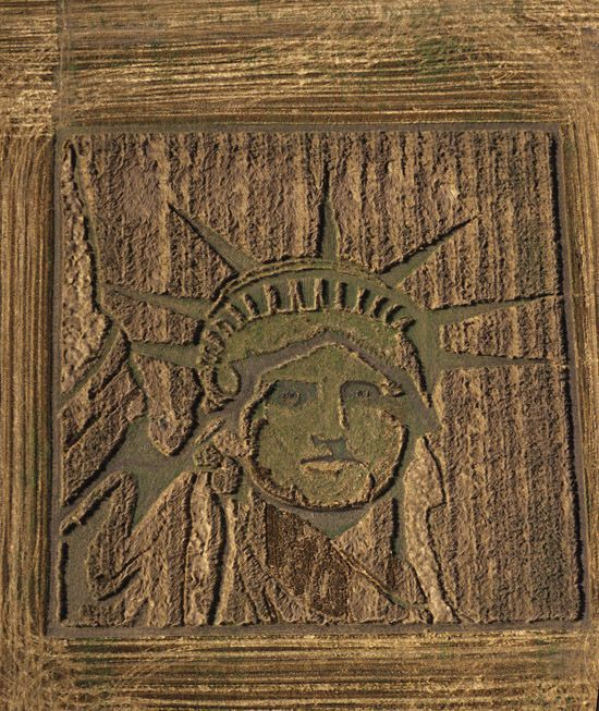 Лети и смотри: американский фермер "рисует" картины на полях в 65 га - фотофакт