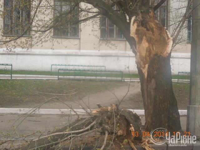 На Западе Украины ураган выкорчевывал деревья и ломал билборды