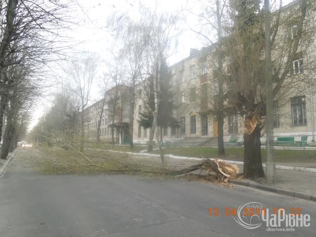 На Западе Украины ураган выкорчевывал деревья и ломал билборды. Фотофакт