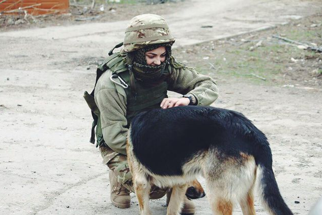 Собачий десант: животные предупреждают бойцов АТО об опасности