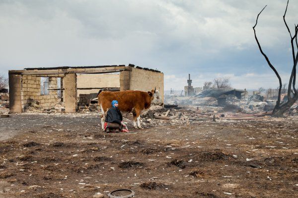Последствия пожара в Хакасии: опубликованы фото