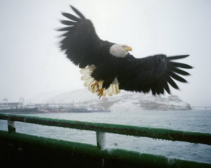 Американский фотограф показал суровую жизнь моряков