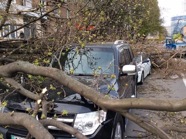 У Києві дерева, що впали на дорогу, пошкодили автомобілі. Фотофакт