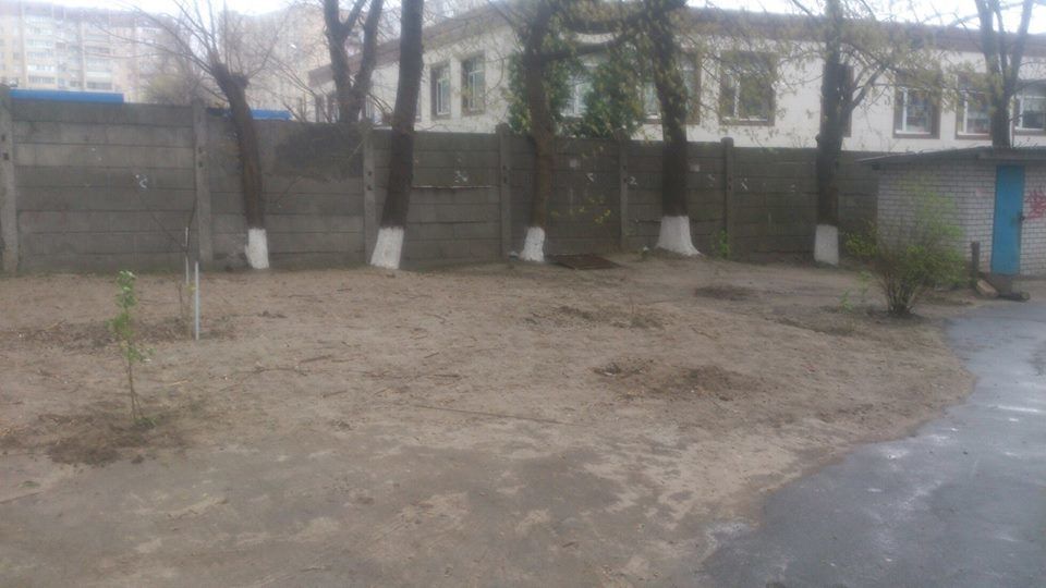 В Киеве "герои парковки" ради авто вырывают на газонах кусты сирени