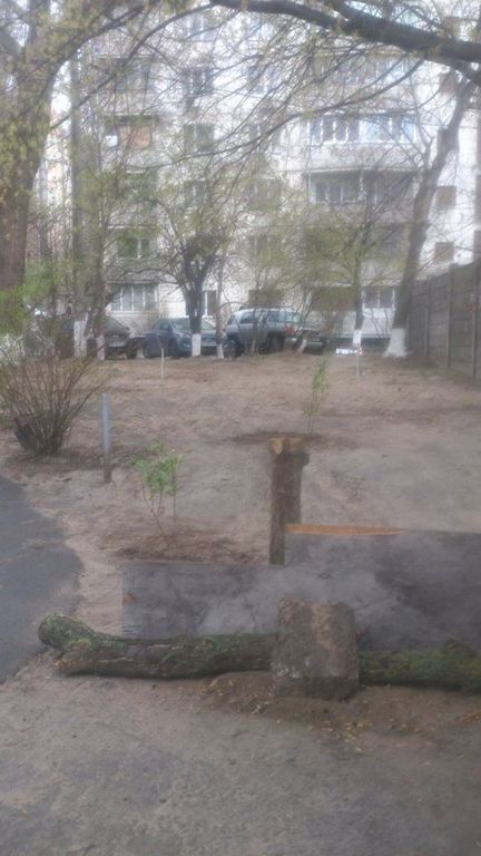 В Киеве "герои парковки" ради авто вырывают на газонах кусты сирени