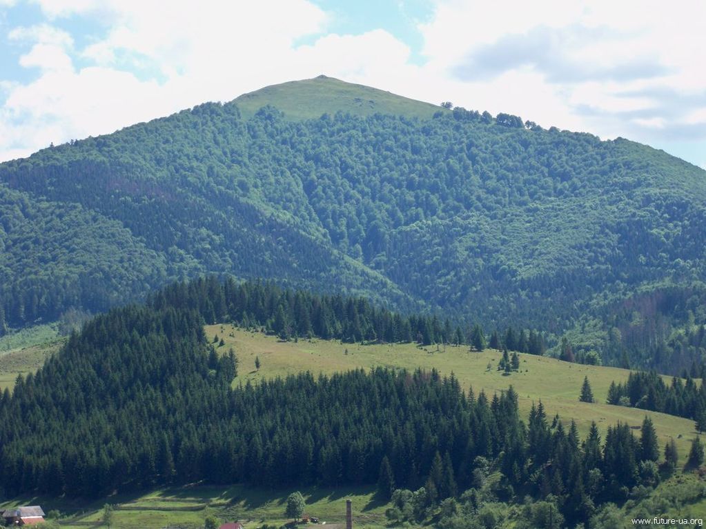 Чарующие буковые леса в Карпатах, которые охраняются ЮНЕСКО