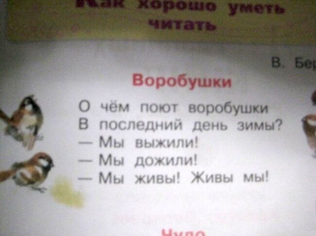 22 сумасшедших ляпа из российских школьных учебников